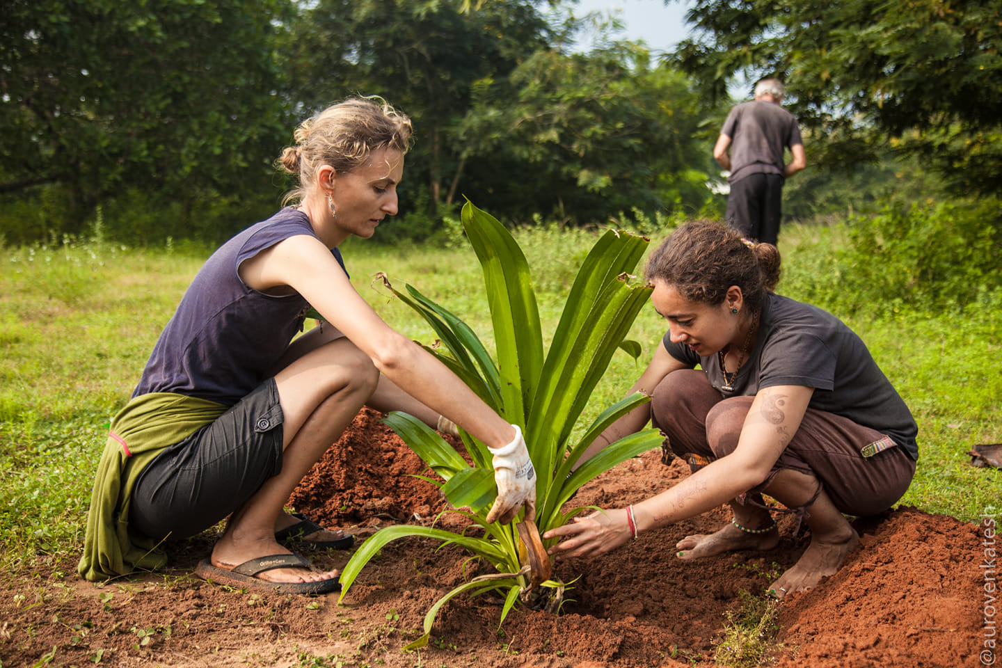 50130295_2126365077676841_7256468987440005120_o